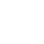 Independiente-Petrolero Independiente-Petrolero